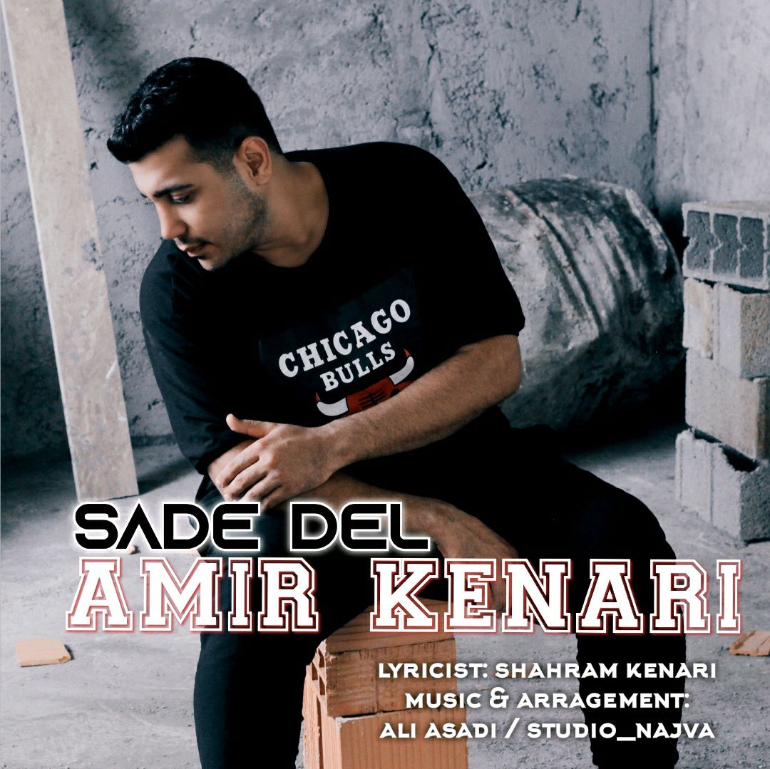 امیر کناری ساده دل